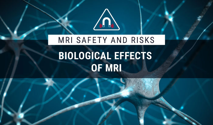 MRI Safety and Risks: Biological Effects of MRI