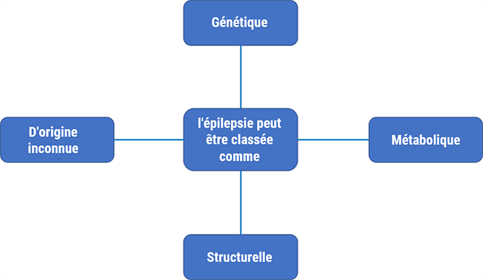 Protocoles IRM épilepsie