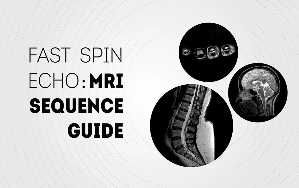 Fast Spin Echo: MRI Sequence Guide